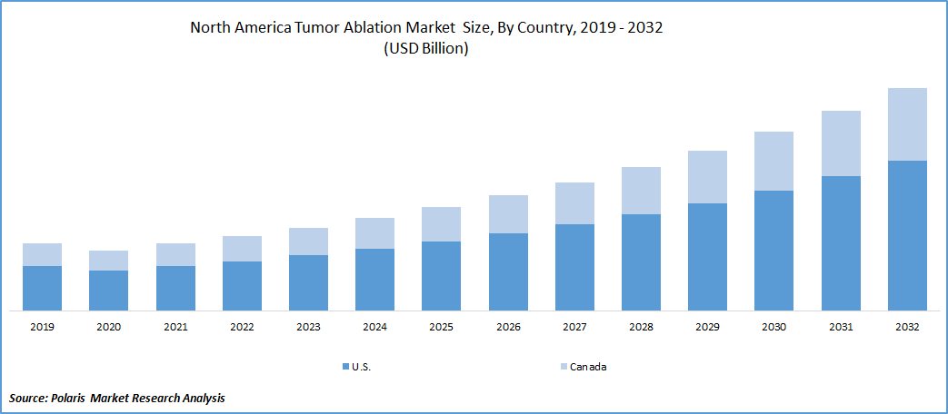 North America Tumor Ablation Market Size